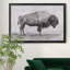 «Wild Bison Study I», impression sur toile encadrée-1140489471-1140489440