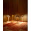 Pina L Desk Lamp-2104723760
