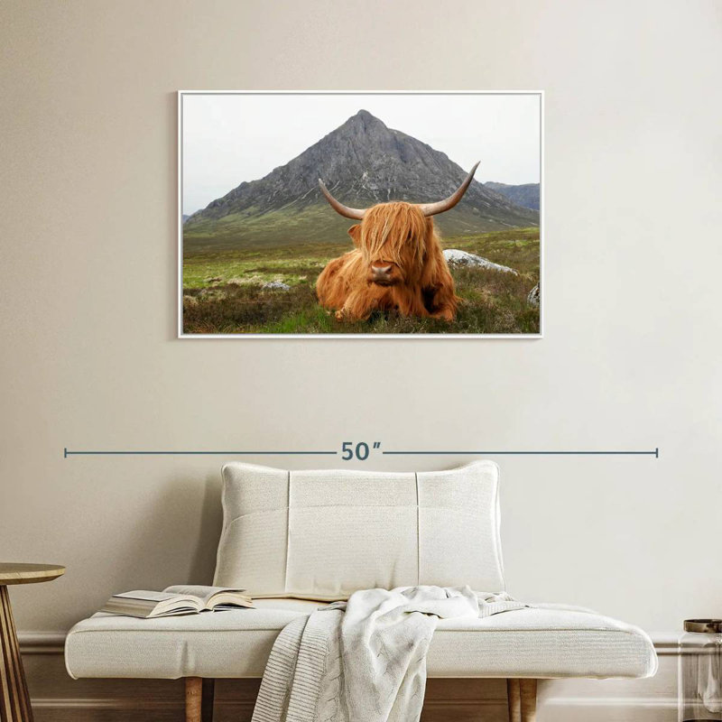 Highland Cow Serenity, Cadre flottant blanc, 37 po x 25 po