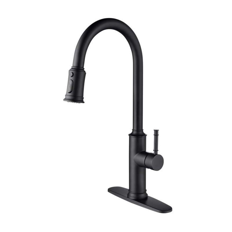 Robinet de cuisine avec douchette extractible