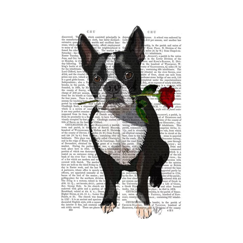 Boston Terrier With Rose In Mouth by Fab Funky - Wrapped Canvas Painting, 66.04 cm H x 45.72 cm W x 3.175 cm D