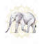 Éléphant sur mandalas - Toile encadrée, décoration intérieure