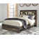 Drystan Bookcase Storage Bed