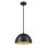 Luminaire suspendu 1 lumière noir mat Alyvia