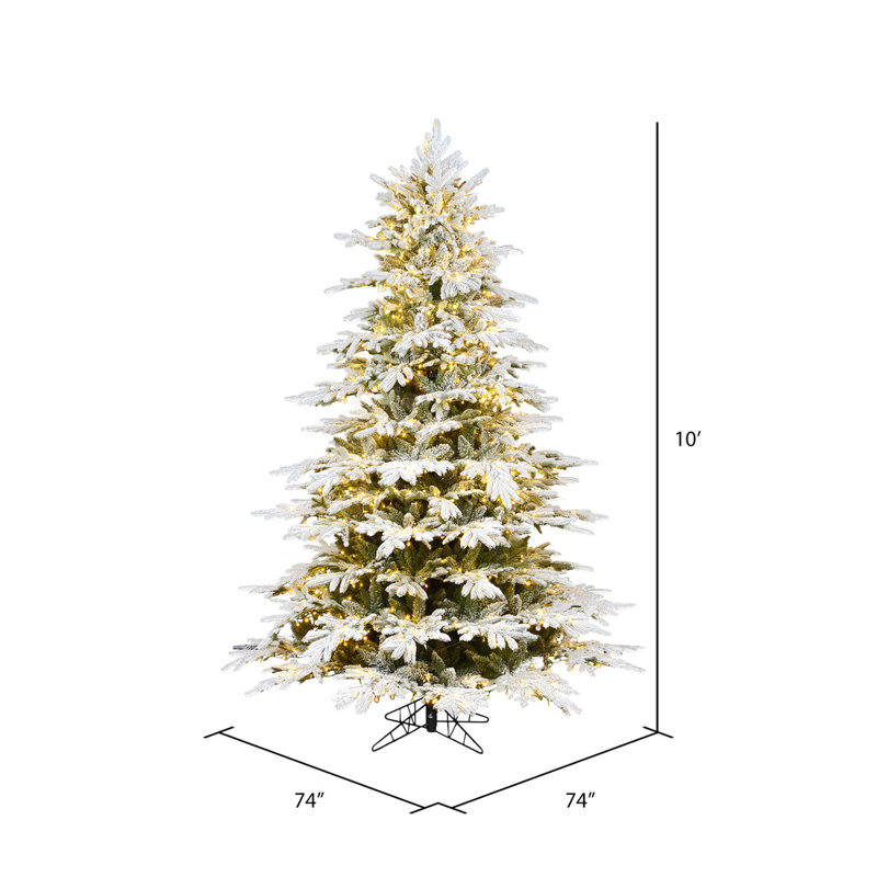 Vickerman 10'' X 74" Flocked Kamas Fraser Artificial Christmas Tree, Warm White Low Voltage 3MM LED Lights, 10' H