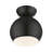 Dianara 1-Light 8" Semi Flush Mount-437096551-437096548
