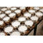 Pearls Black Candle-357846701