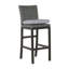 Rustic 30.5" Patio Bar Stool with Cushion-20521193-93663077-70086974