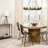 Mccallan Dining Chair with Metal Frame