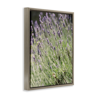 Country Lilac Garden Framed Floater Canvas Wall Art by Justine Milton