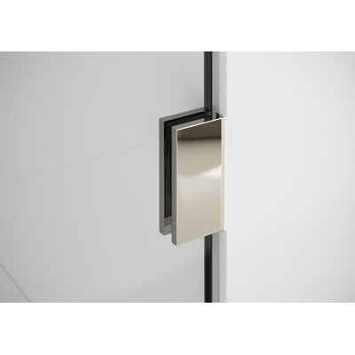 Vela 48 in. x 78 in. Fully Frameless Single Fixed Shower Panel