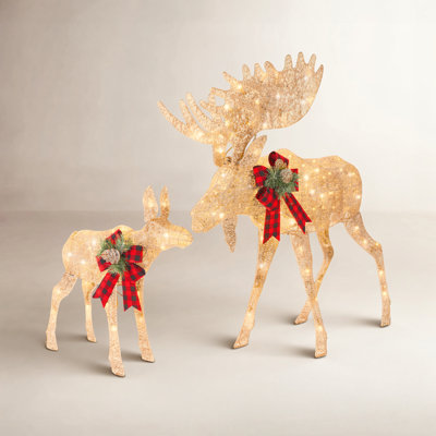The Holiday Aisle® 2-Piece Lighted Moose Set