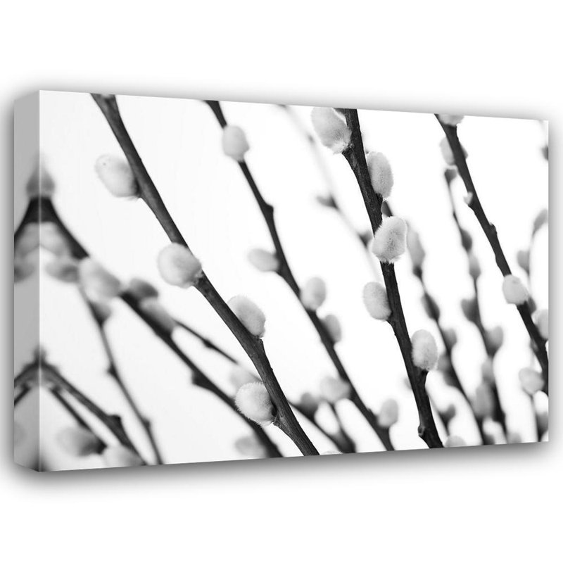 «Latitude Run® Frank, Assaf Gallery, art sur toile tendue: saule