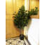 110cm Faux Ficus Tree in Pot Liner