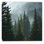 Art mural sur toile Calm Winter Woodland