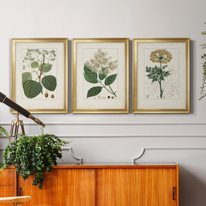 Antique Turpin Botanical IV - Ensemble de 3 peintures sur toile encadrées, H 22,5 po x l 91,5 po x P 1,5 po, Doré