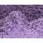 Dekari Shag Area Rug-26464663