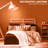 4.5 Watt (60 Watt Equivalent), A19 LED, Dimmable Light Bulb, E26/Medium (Standard) Base-73312168