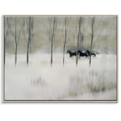 Print on Canvas