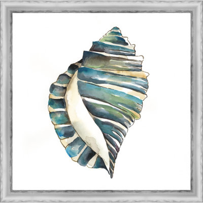 « aquarelle shells i », reproduction d’art encadrée