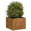 Planter-1920376238-1937852853