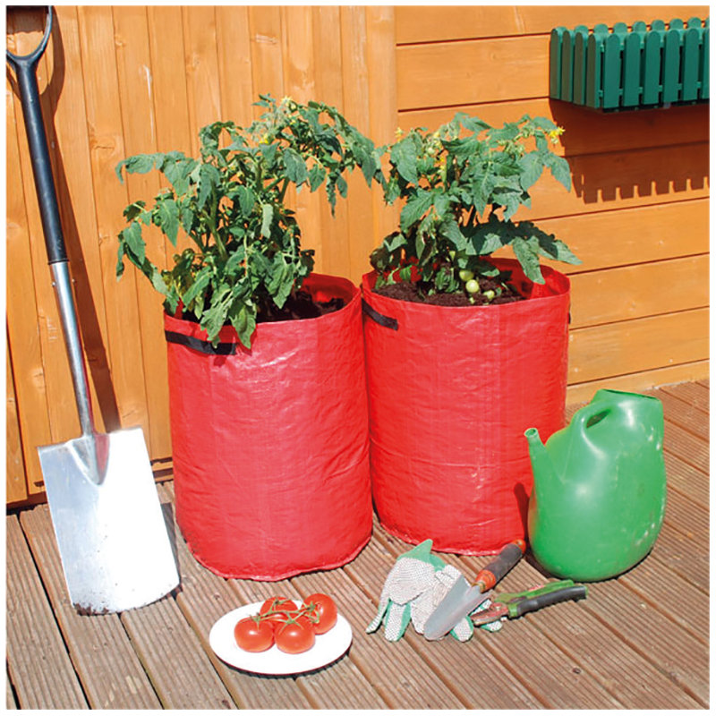 St. Helens Home & Garden Growing Kit