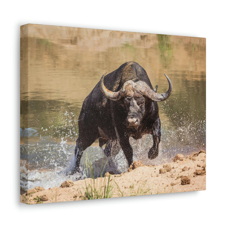 No Frame Print on Canvas, 27.94cm H x 35.56cm W