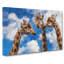 Three Giraffes - Wrapped Canvas Painting-56654736