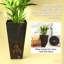 Ensemble de 3 pots à fleurs, pots à fleurs hauts-1662256298