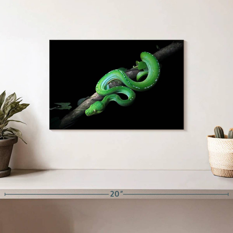 Brampt Green Python Slithering On A Branch, 8" H x 12" W