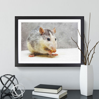 Rat - Framed Print