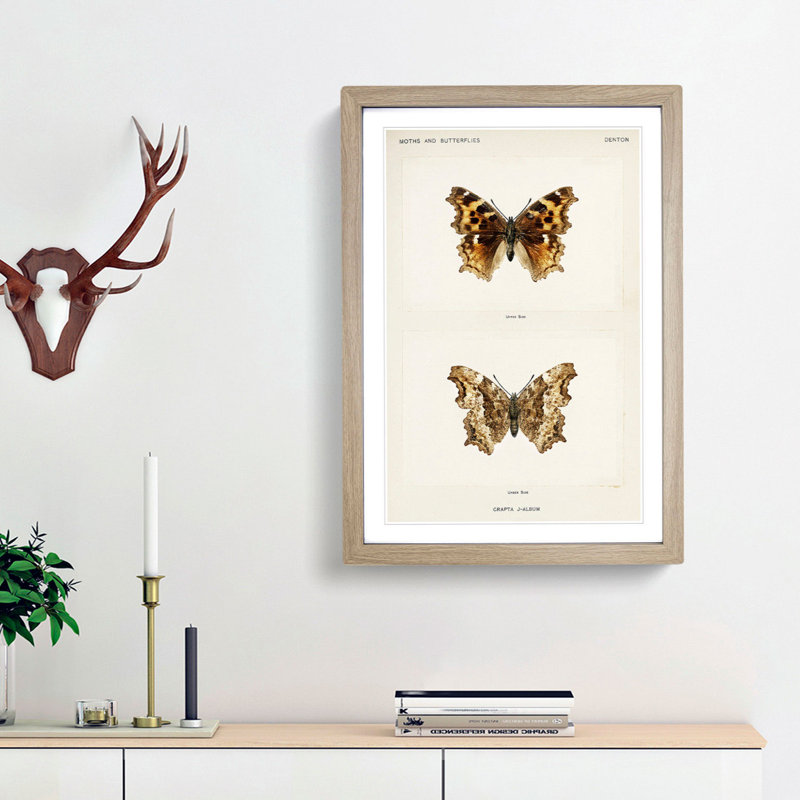 Compton Tortoiseshell Butterfly by S.F. Denton - Picture Frame Painting Print, 48cm H x 36cm W x 2cm D, Oak Framed