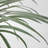 88.9'' Faux Dragon Tree Tree in Pot