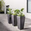 Plastic Pot Planter-1752720819-1752720779