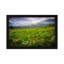 Colorado Flowers by Dan Ballard - Print on Canvas-89237116-50018398