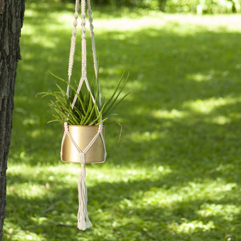 Ambrose Pot Planter