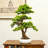 31" Artificial Pine Bonsai Tree With Lush Realistic Leaves, Faux Evergreen Plant In Decorative Pot