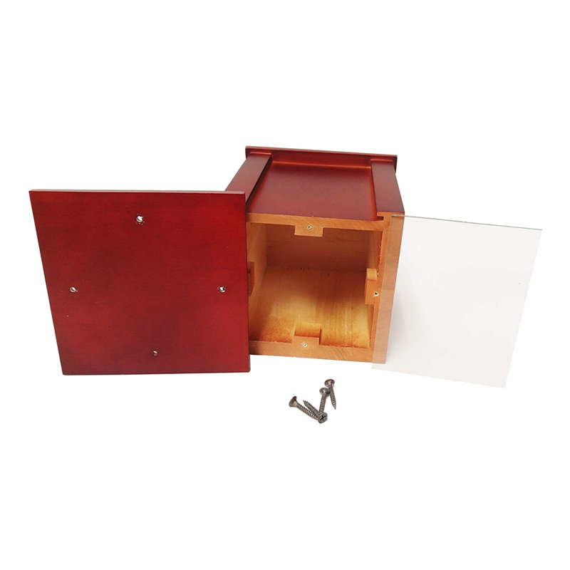  Bouleau / urne cerisier foncé B006