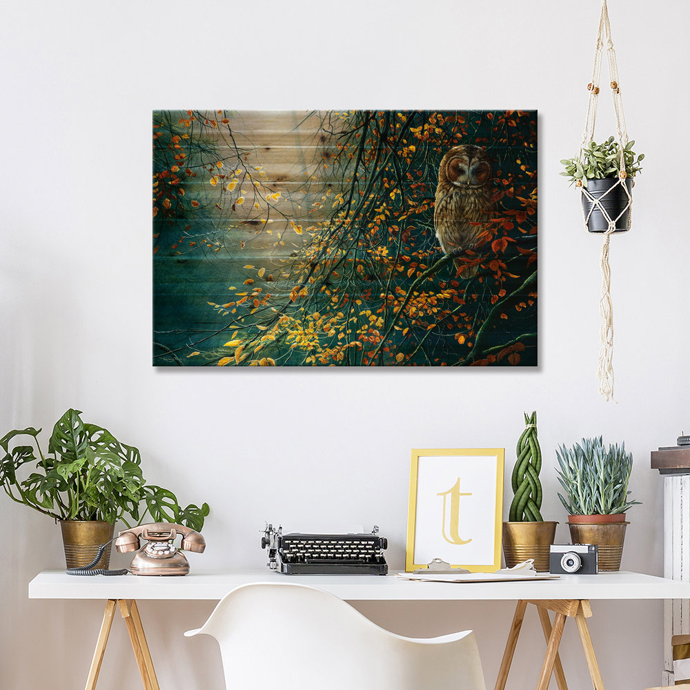 " Tawny Owl " by Jeremy Paul Millwood Pines 