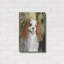 «Cavalier King Charles» par Solveiga-1689732070
