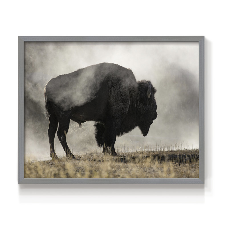 Geyser Basin -Framed Print - Restickable, Grey, 22" H x 28" W