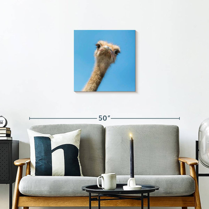Crowle Curious Ostrich, 20" H x 20" W