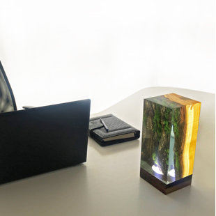Novelty Lamp