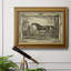 Distingué chevaux IV - Cadre photo, impression sur toile-1269743846