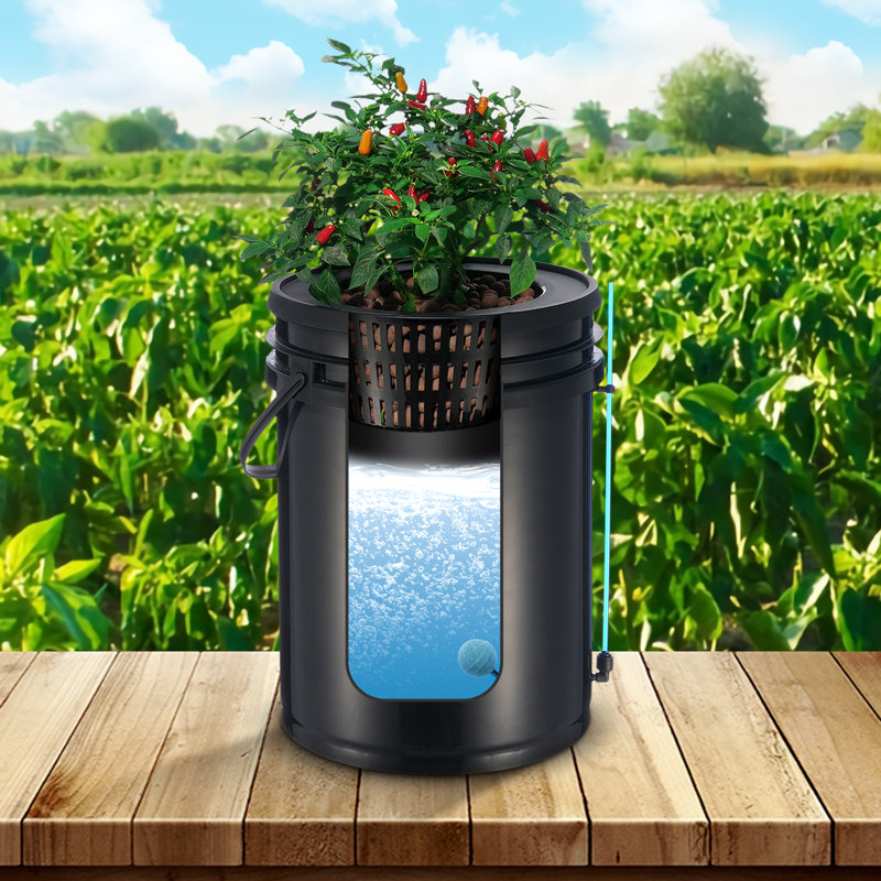 DWC Hydroponics Grow System Deep Water Culture with Top Drip 1 Bucket 5Gal