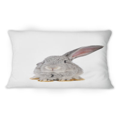 Portrait d'un lapin gris I - coussin décoratif traditionnel imprimé