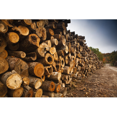 Piles Of Wood - Wrapped Canvas Print
