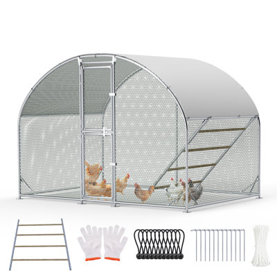 9.8' W x 6.5' D Walk-In Dome Chicken Run, Metal Chicken Coop with Dual Doors, Waterproof Cover & Roosting Ladder, Outdoor Poultry Enclosure