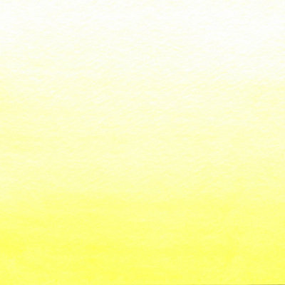 Ombre de citron social