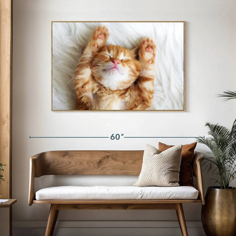 Sleepy Kitty, Cadre flottant en bois naturel, 46 po x 31 po